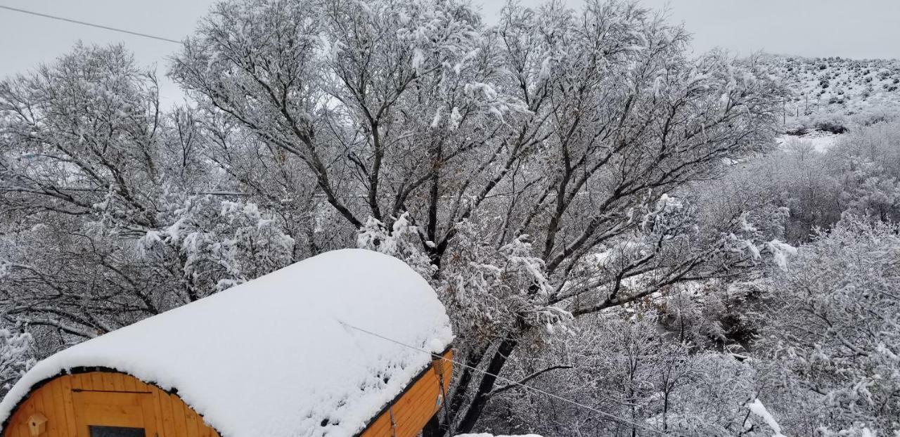 Cave, Yurt, Bubble And Other Glamping Adventures Hotel Sedona Buitenkant foto