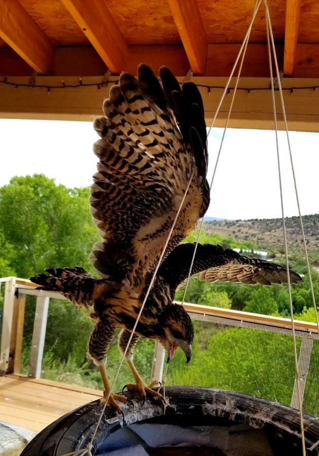 Cave, Yurt, Bubble And Other Glamping Adventures Hotel Sedona Buitenkant foto
